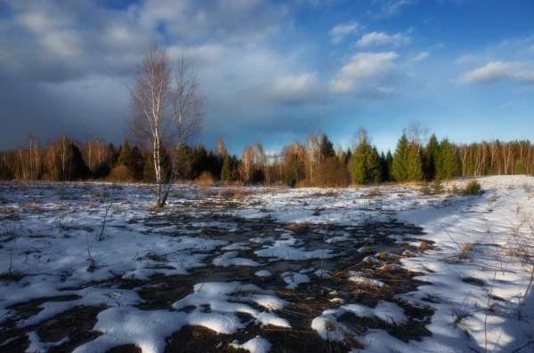 весенняя проталинка левитана