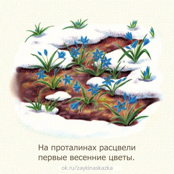 стихи про подснежники для детей