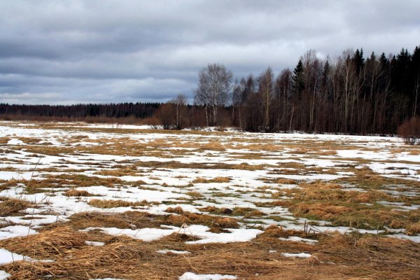 Весна проталины