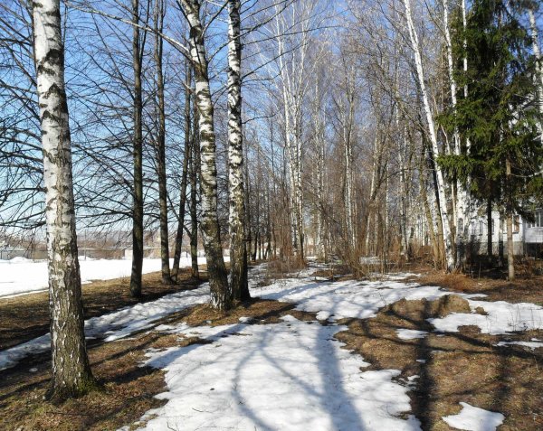 весенняя проталинка левитана