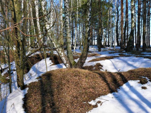весенняя проталинка левитана