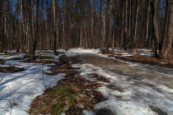 весенняя проталинка левитана