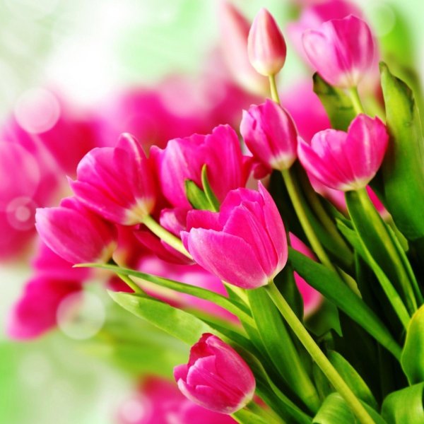 открытки и поздравления