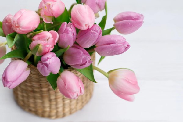 корзина с розовыми тюльпанами