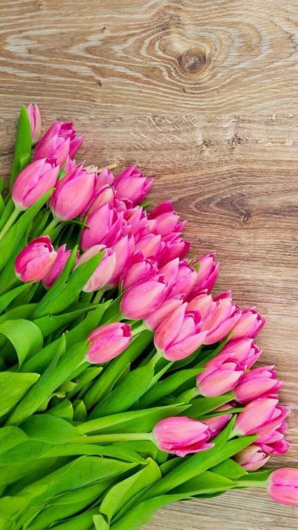 букет тюльпан