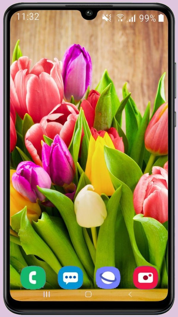 цветы с 8 марта