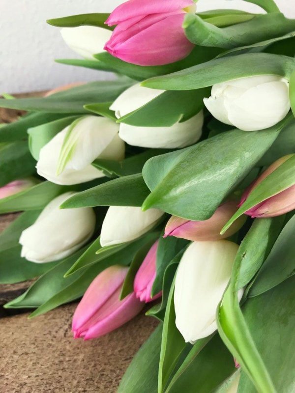 шикарный букет тюльпанов