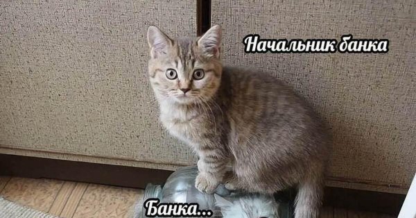 шутки про работников банка