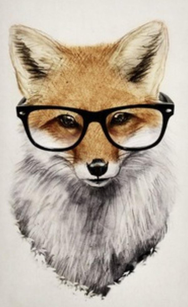 животные в очках