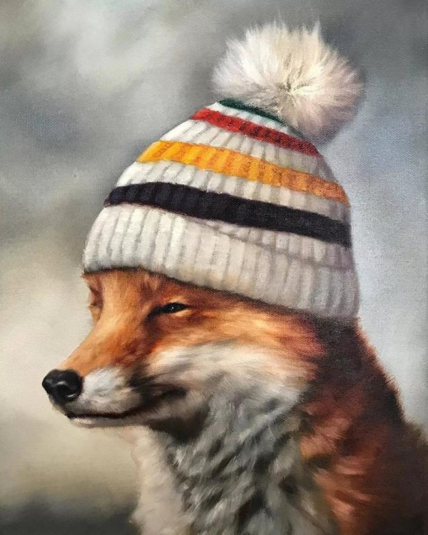 лис в шапке