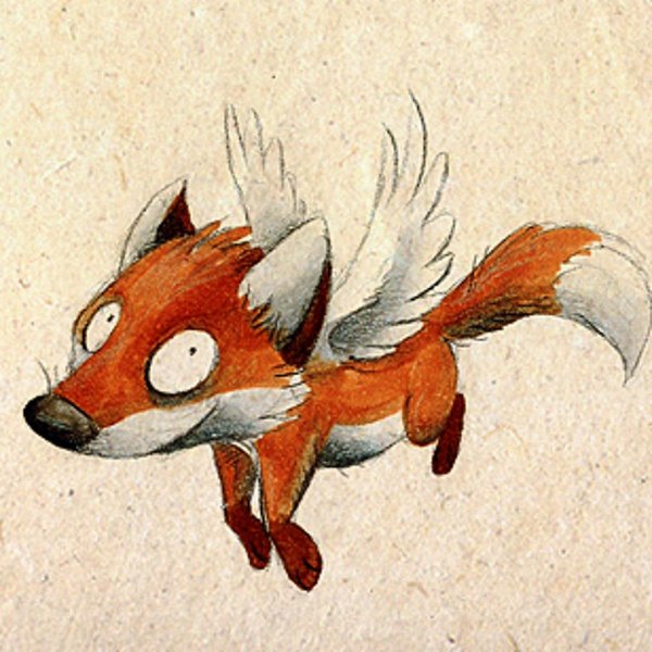 лисы кульпео фокс