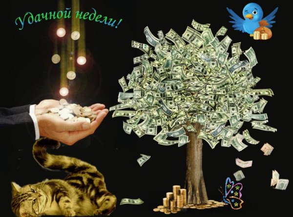 открытка удачной недели