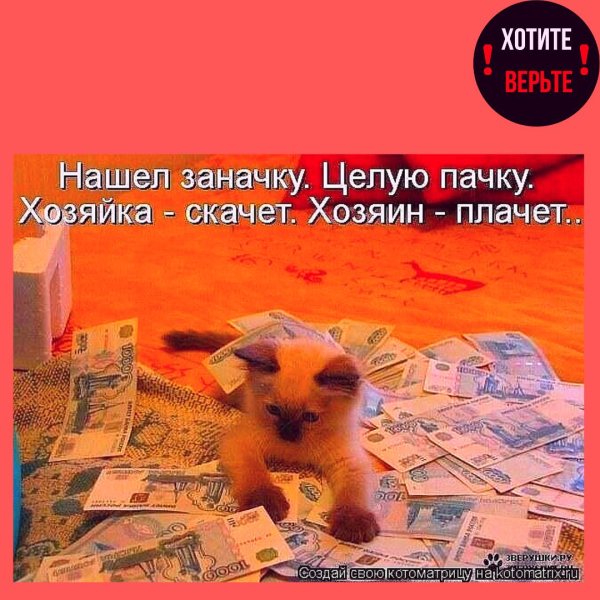 деньги картинки прикольные