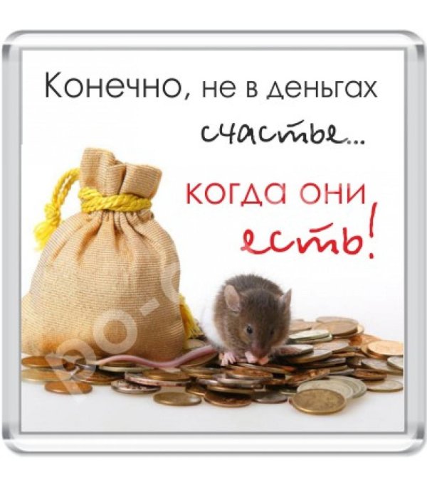 счастье не в деньгах