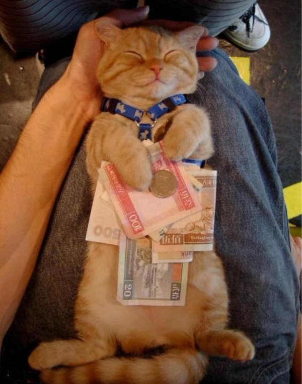 демотиваторы про зарплату