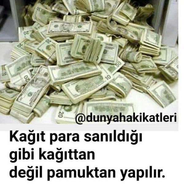 много долларов