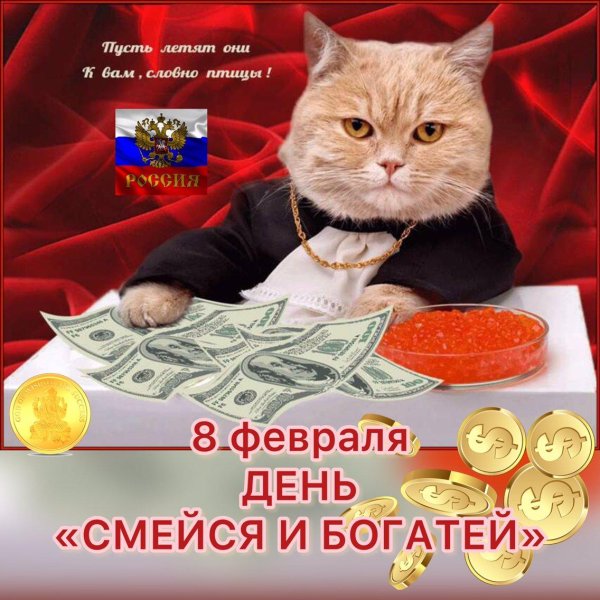денежный котик
