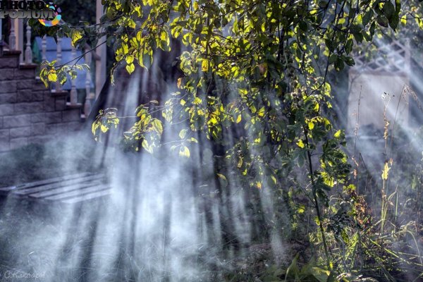 дождь природа