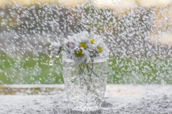 доброе летнее дождливое утро