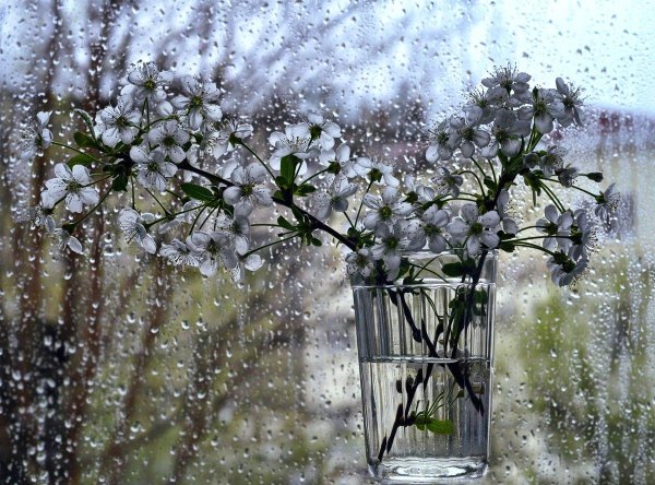 весенний дождик