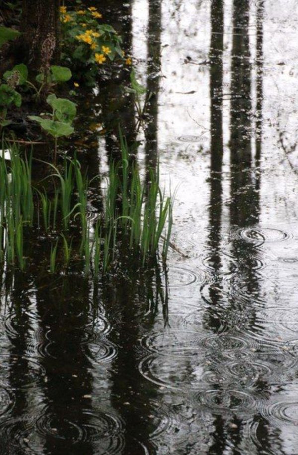 весенние дожди
