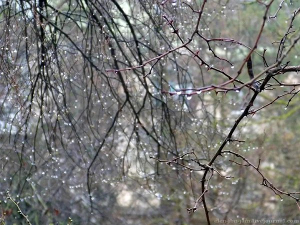 апрельские дожди