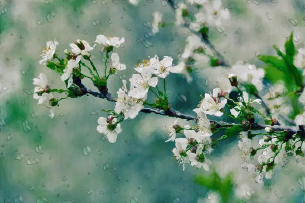 весенний дождик