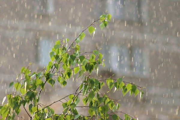 летние дожди