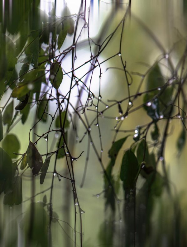 дождливая весна