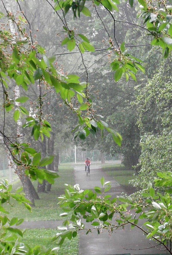 летний ливень