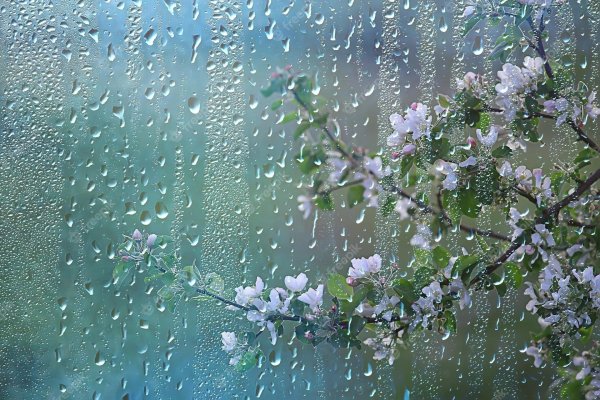 весенний дождик