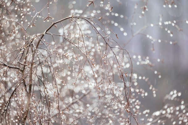 весенняя капель