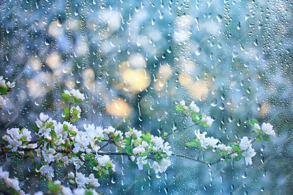 spring rain
