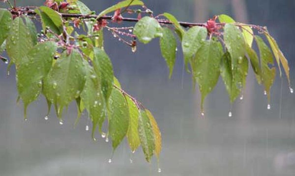 весенние дожди