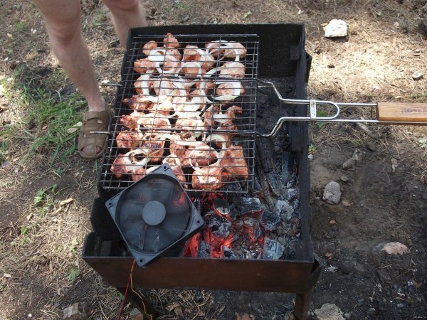 шашлыки на даче