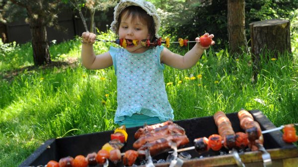 пикник с шашлыком