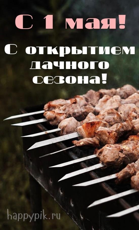 1 мая шашлыки