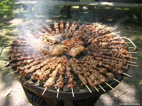мангал с шашлыками