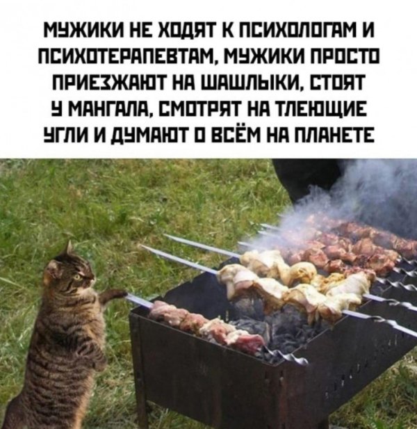 шашлыки мем