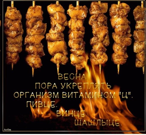 куриный шашлык геншин