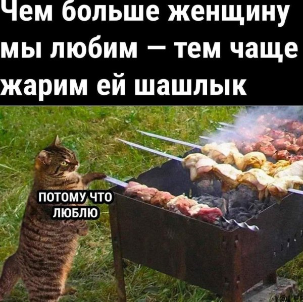 шашлыки мем