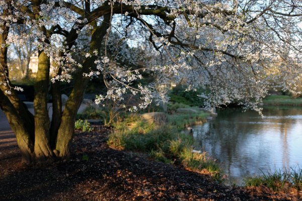 весенние пейзажи