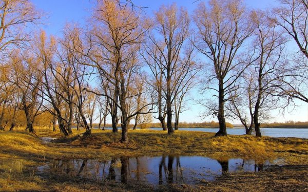 весенние пейзажи