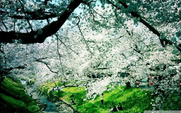 весенняя природа