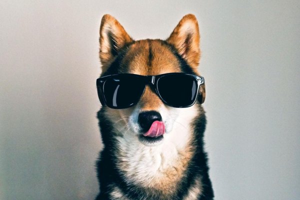 крутая собака