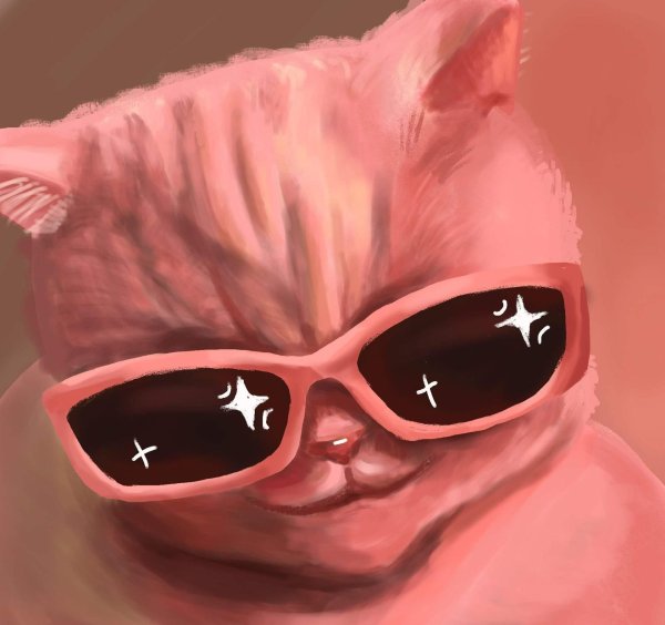 котик в розовых очках