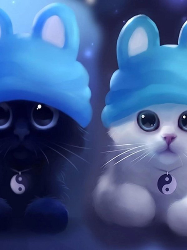 милые котенок