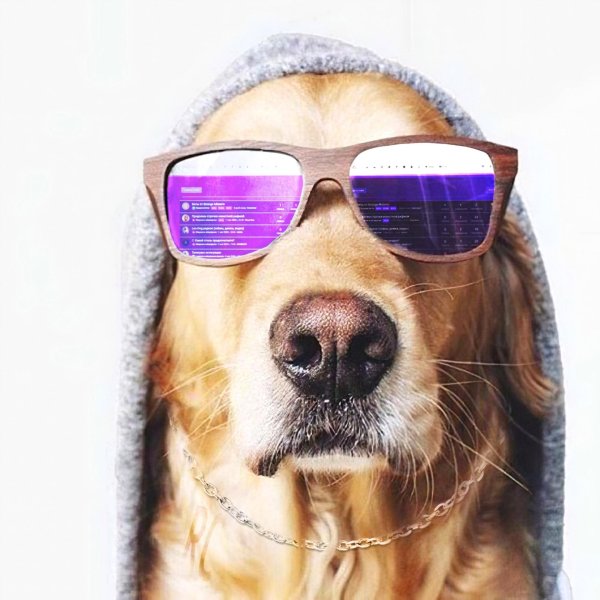 голден ретривер