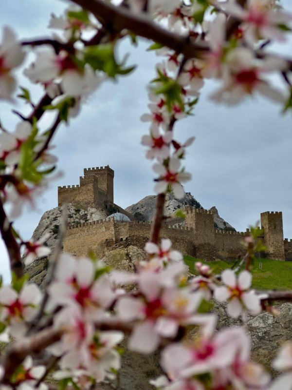 генуэзская крепость г судак