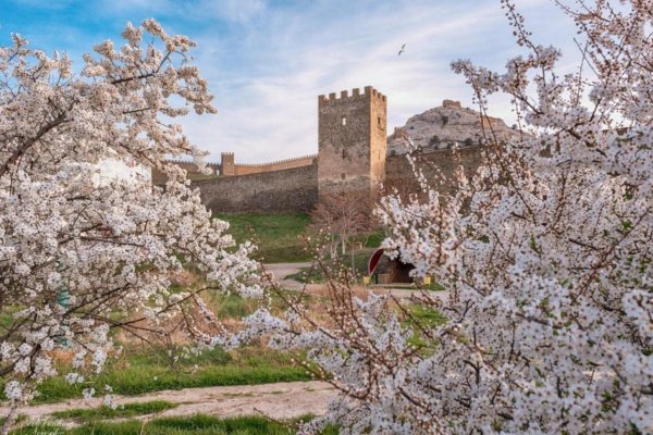 ялта цветет миндаль